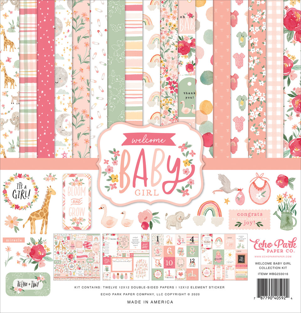 Echo Park Welcome Baby Girl 12x12 Inch Collection Kit (WBG233016)