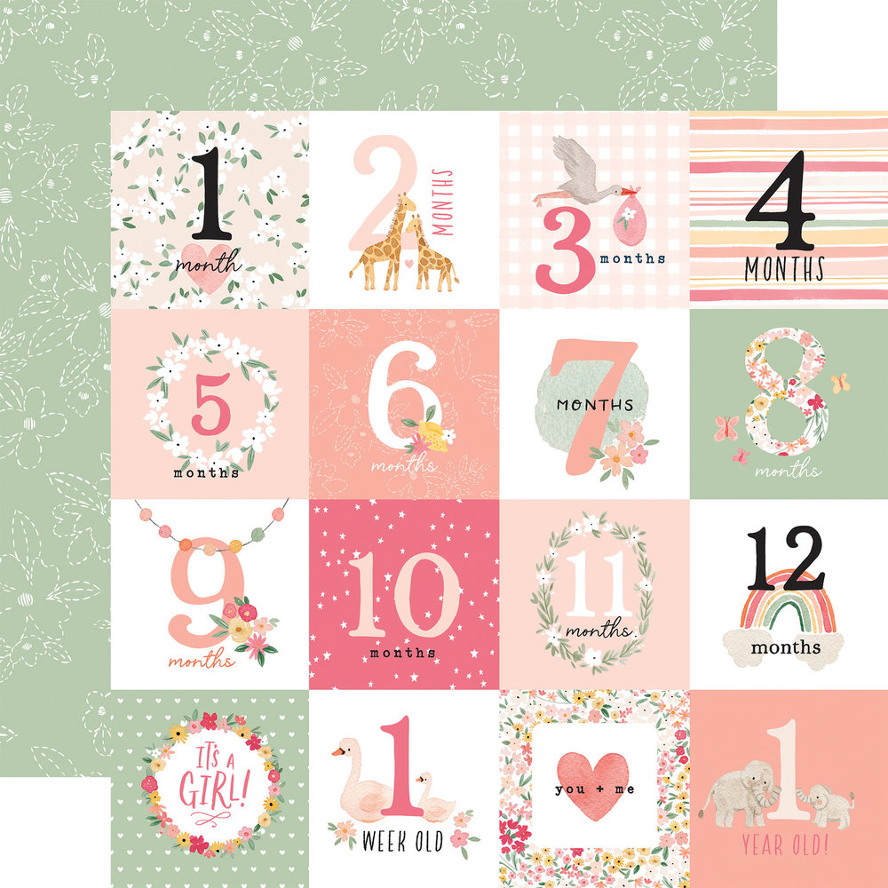 Echo Park Welcome Baby Girl 12x12 Inch Collection Kit (WBG233016)