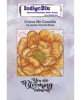 IndigoBlu Colour Me Camellia A6 Rubber Stamps (IND0748) IndigoBlu Colour Me Camellia A6 Rubber Stamps (IND0748)