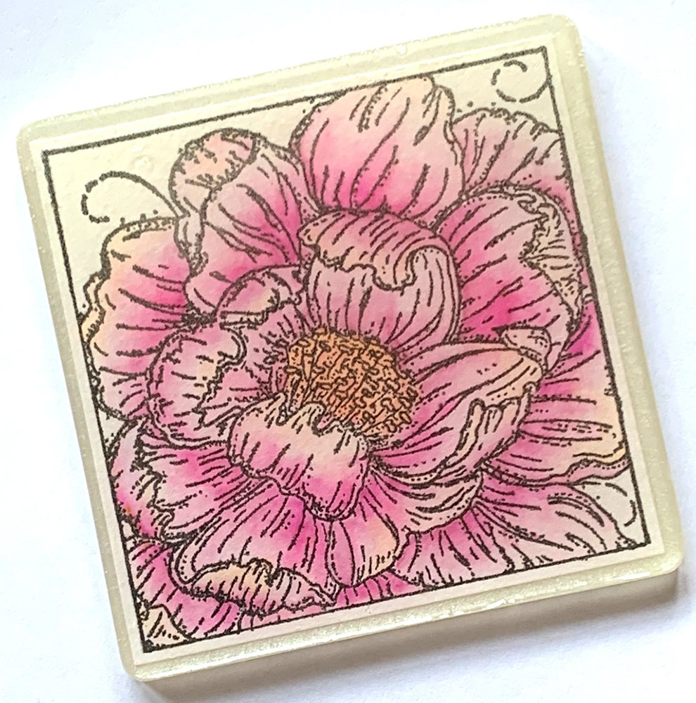 IndigoBlu Colour Me Camellia A6 Rubber Stamps (IND0748) IndigoBlu Colour Me Camellia A6 Rubber Stamps (IND0748)