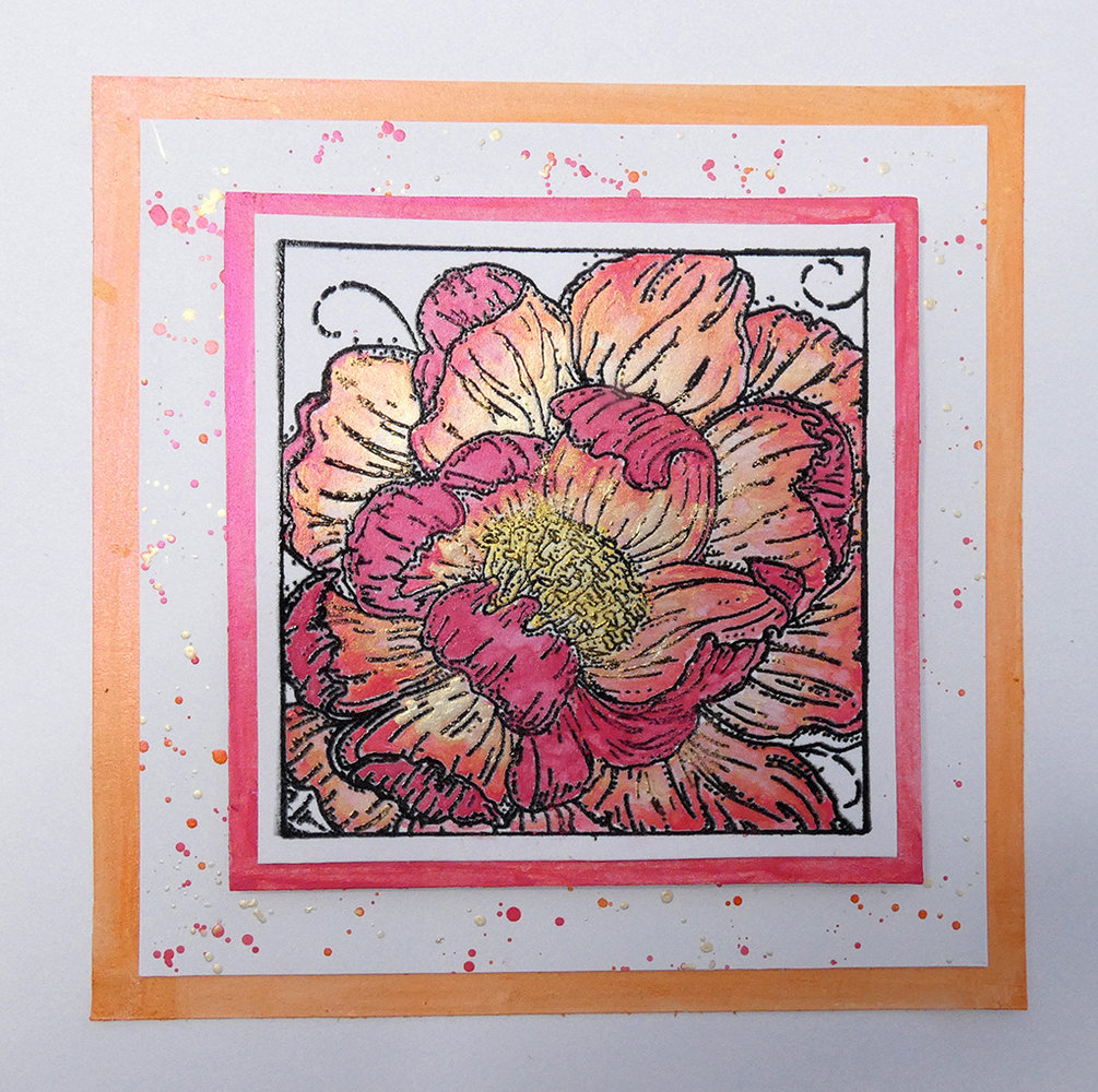 IndigoBlu Colour Me Camellia A6 Rubber Stamps (IND0748) IndigoBlu Colour Me Camellia A6 Rubber Stamps (IND0748)