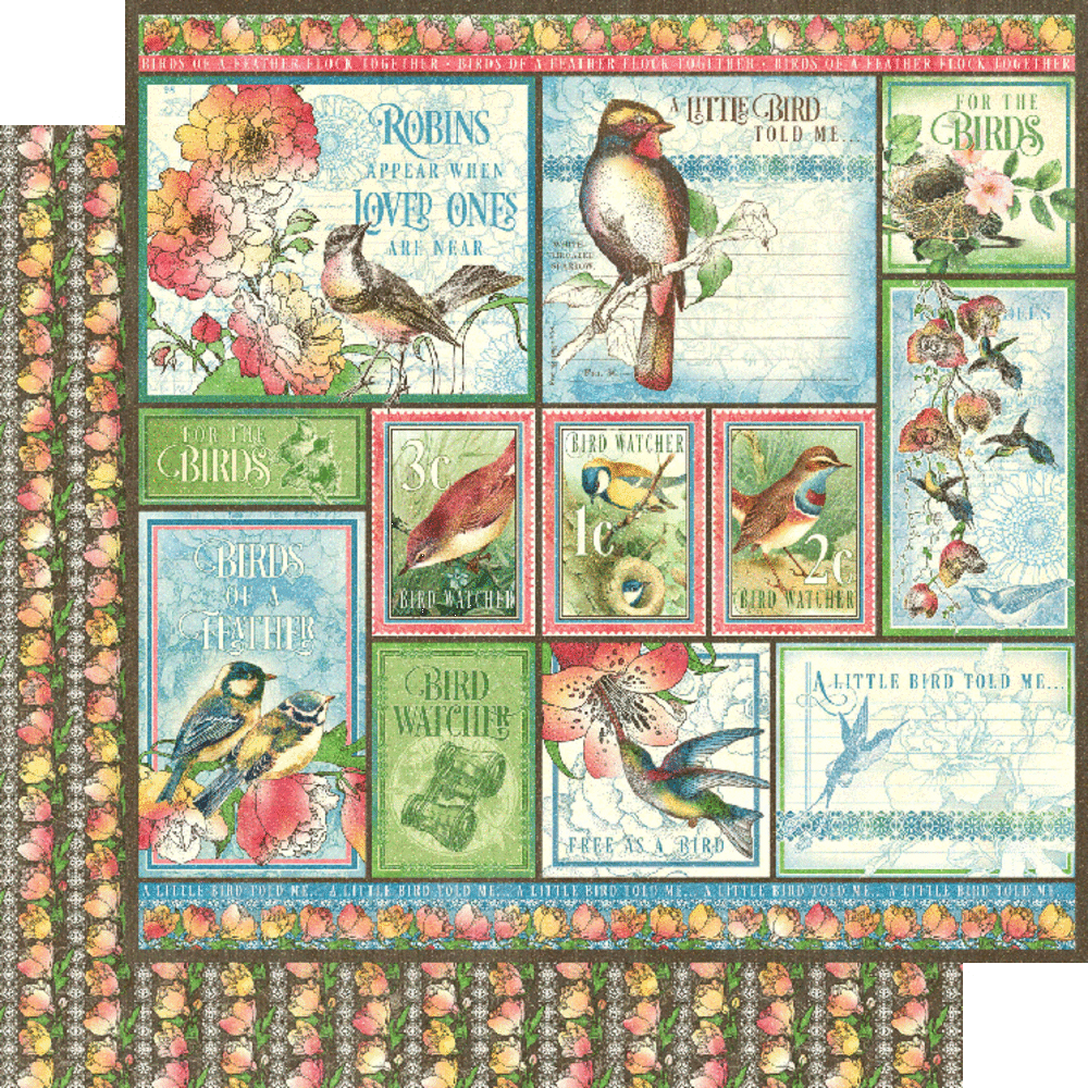 Graphic 45 Bird Watcher 12x12 Inch Collection Pack (4502211) Graphic 45 Bird Watcher 12x12 Inch Collection Pack (4502211)