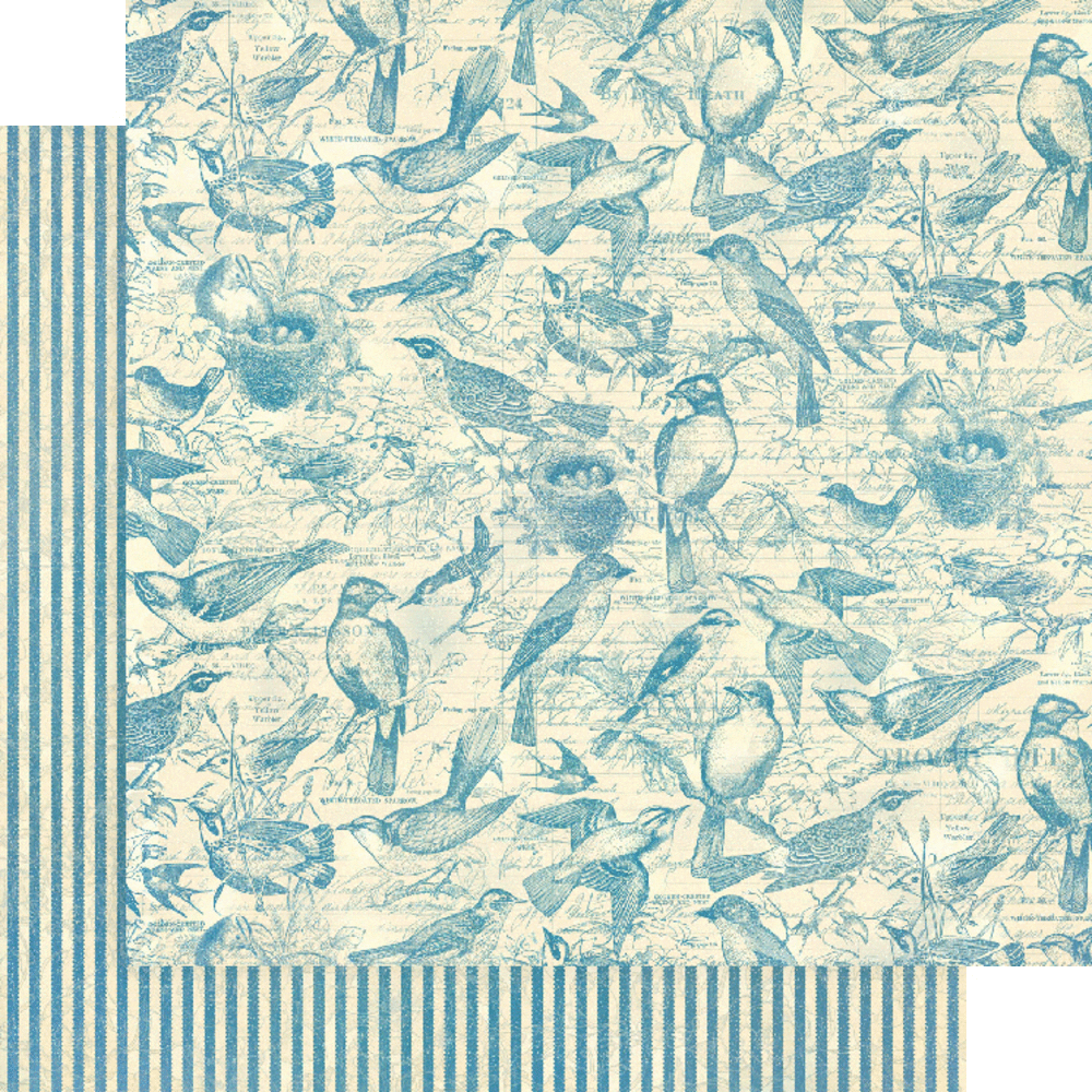 Graphic 45 Bird Watcher 12x12 Inch Collection Pack (4502211) Graphic 45 Bird Watcher 12x12 Inch Collection Pack (4502211)