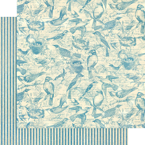 Graphic 45 Bird Watcher 12x12 Inch Collection Pack (4502211) Graphic 45 Bird Watcher 12x12 Inch Collection Pack (4502211)