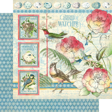 Graphic 45 Bird Watcher 12x12 Inch Collection Pack (4502211) Graphic 45 Bird Watcher 12x12 Inch Collection Pack (4502211)