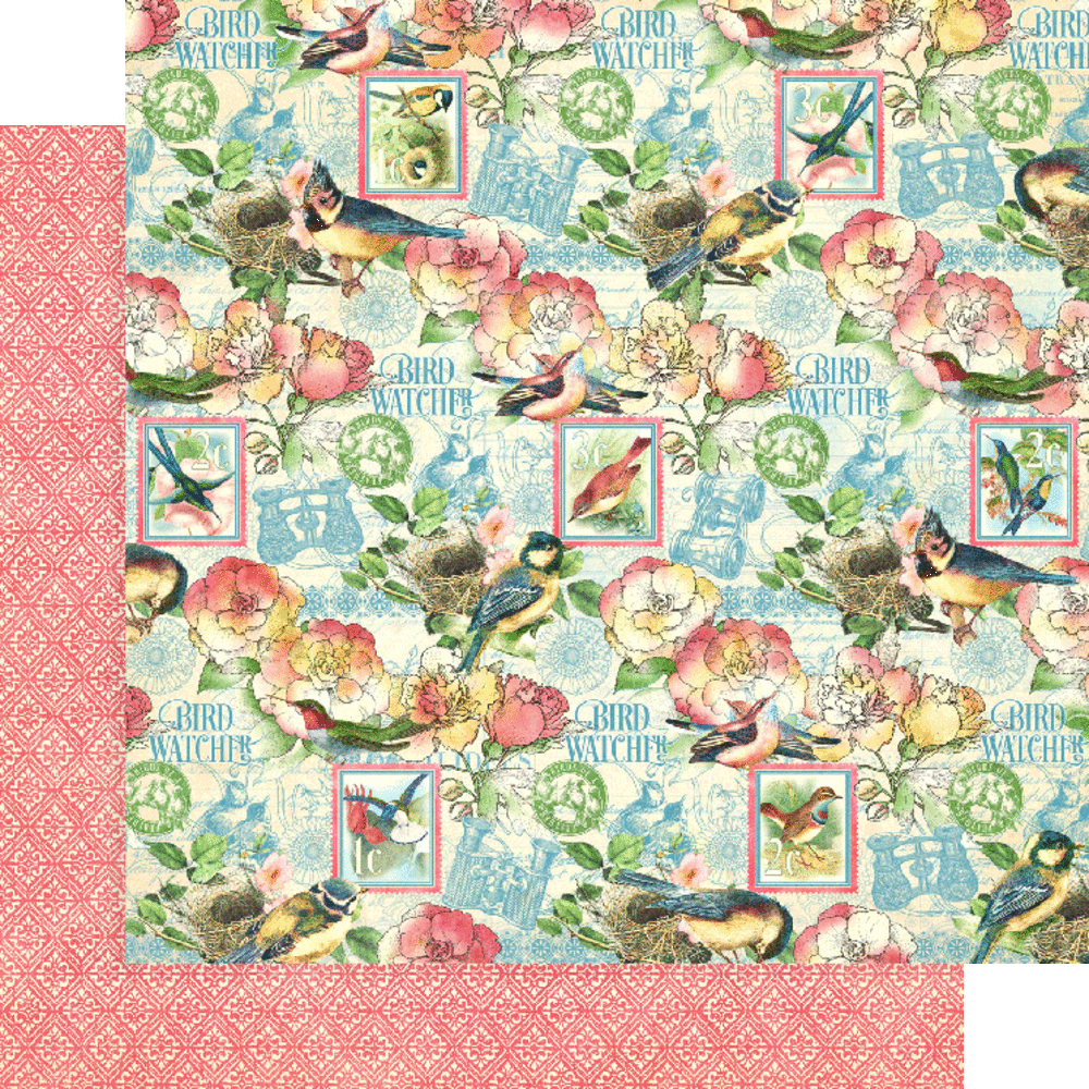 Graphic 45 Bird Watcher 12x12 Inch Collection Pack (4502211) Graphic 45 Bird Watcher 12x12 Inch Collection Pack (4502211)