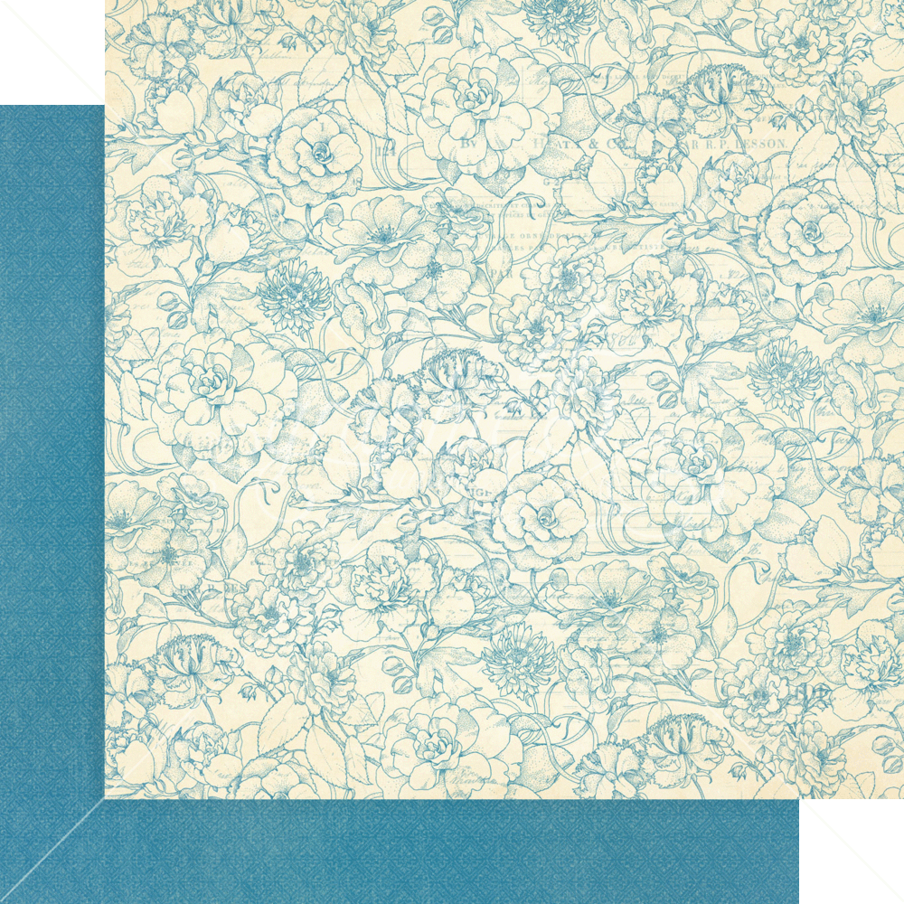 Graphic 45 Bird Watcher 12x12 Inch Patterns & Solids (4502212)