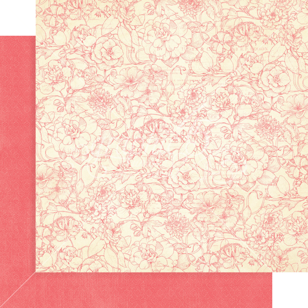 Graphic 45 Bird Watcher 12x12 Inch Patterns & Solids (4502212)