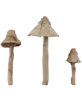 Idea-ology Tim Holtz Toadstools (TH94082) Idea-ology Tim Holtz Toadstools (TH94082)