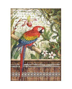 Stamperia Amazonia Rice Paper A4 Parrot (DFSA4531) Stamperia Amazonia Rice Paper A4 Parrot (DFSA4531)