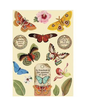 Stamperia Amazonia Wooden Shapes A5 Butterfly (KLSP093) Stamperia Amazonia Wooden Shapes A5 Butterfly (KLSP093)
