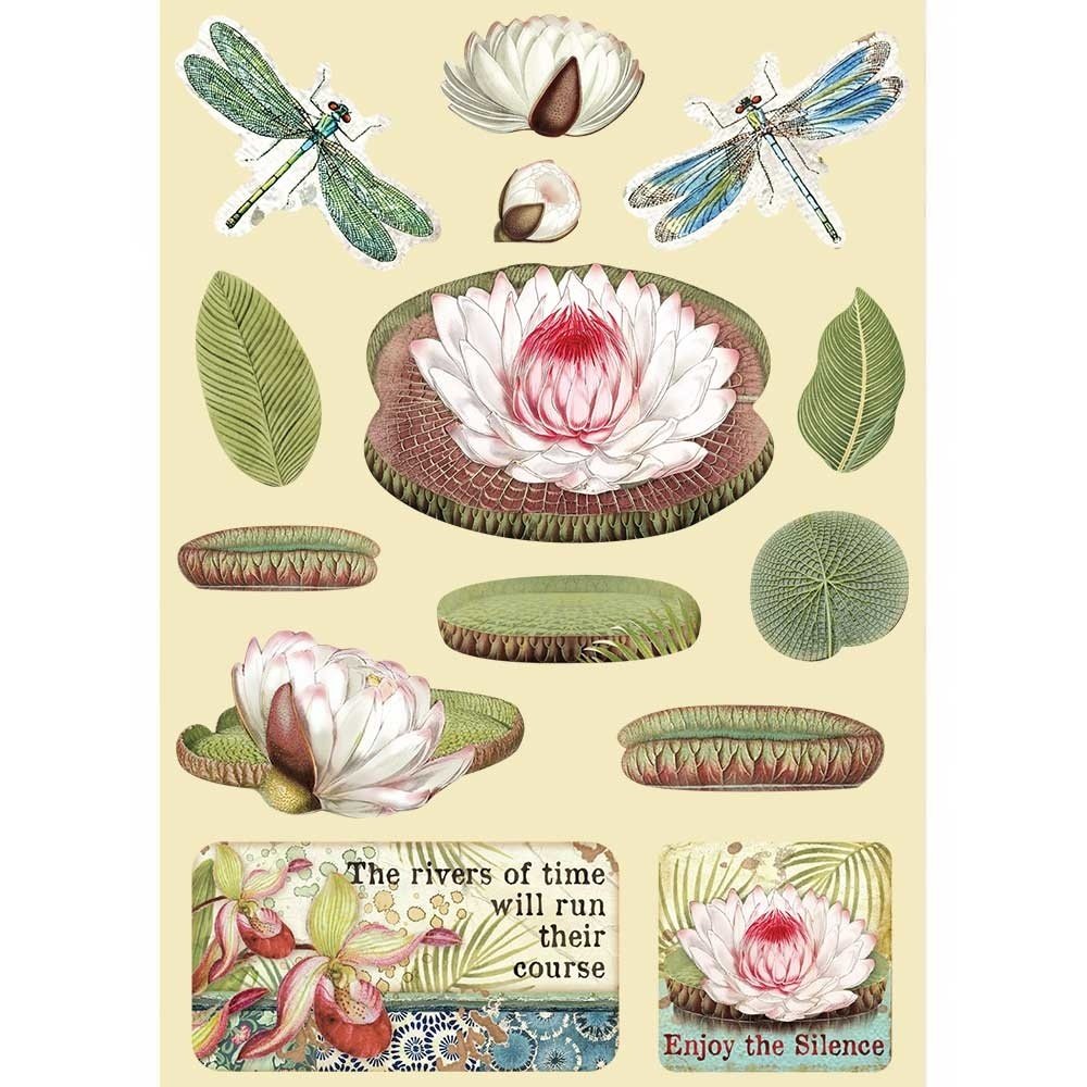 Stamperia Amazonia Wooden Shapes A5 Water Lily (KLSP094) Stamperia Amazonia Wooden Shapes A5 Water Lily (KLSP094)