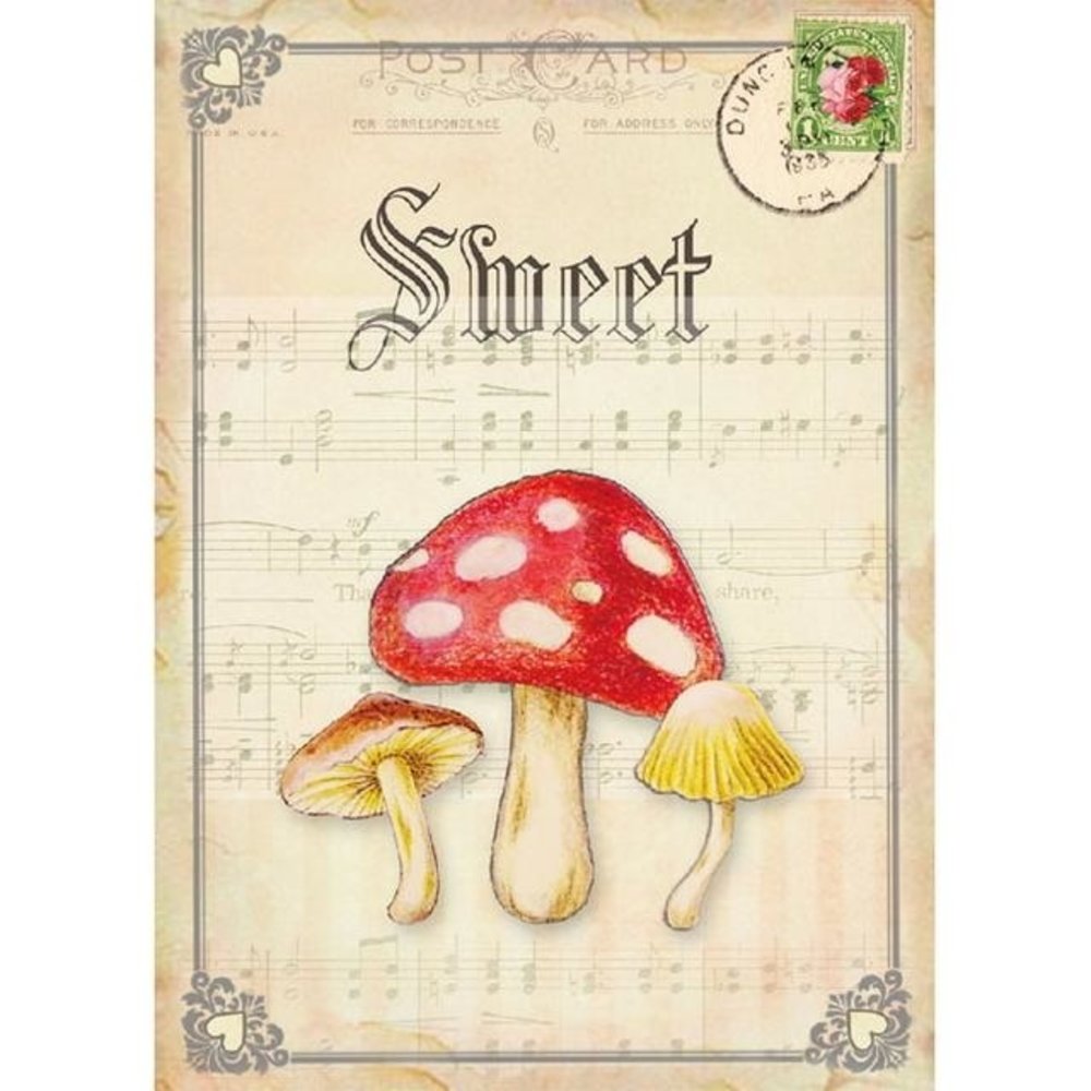 Memory Place Forest Friends Cards Set (MP-58685) Memory Place Forest Friends Cards Set (MP-58685)