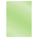 Card Deco Metallic Cardstock Applle (CDEMCP024)