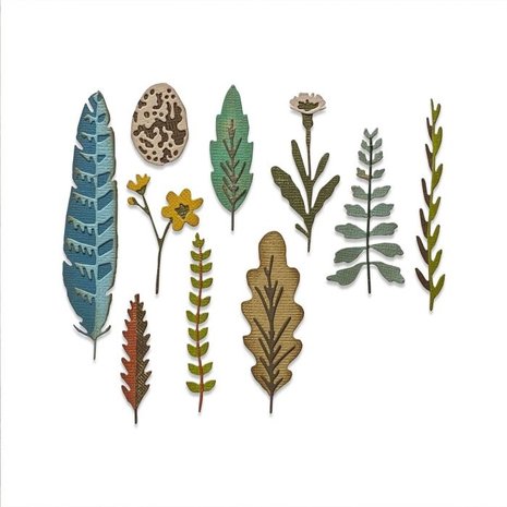 Sizzix Thinlits Alterations Die Set 10PK Funky Nature (665215)