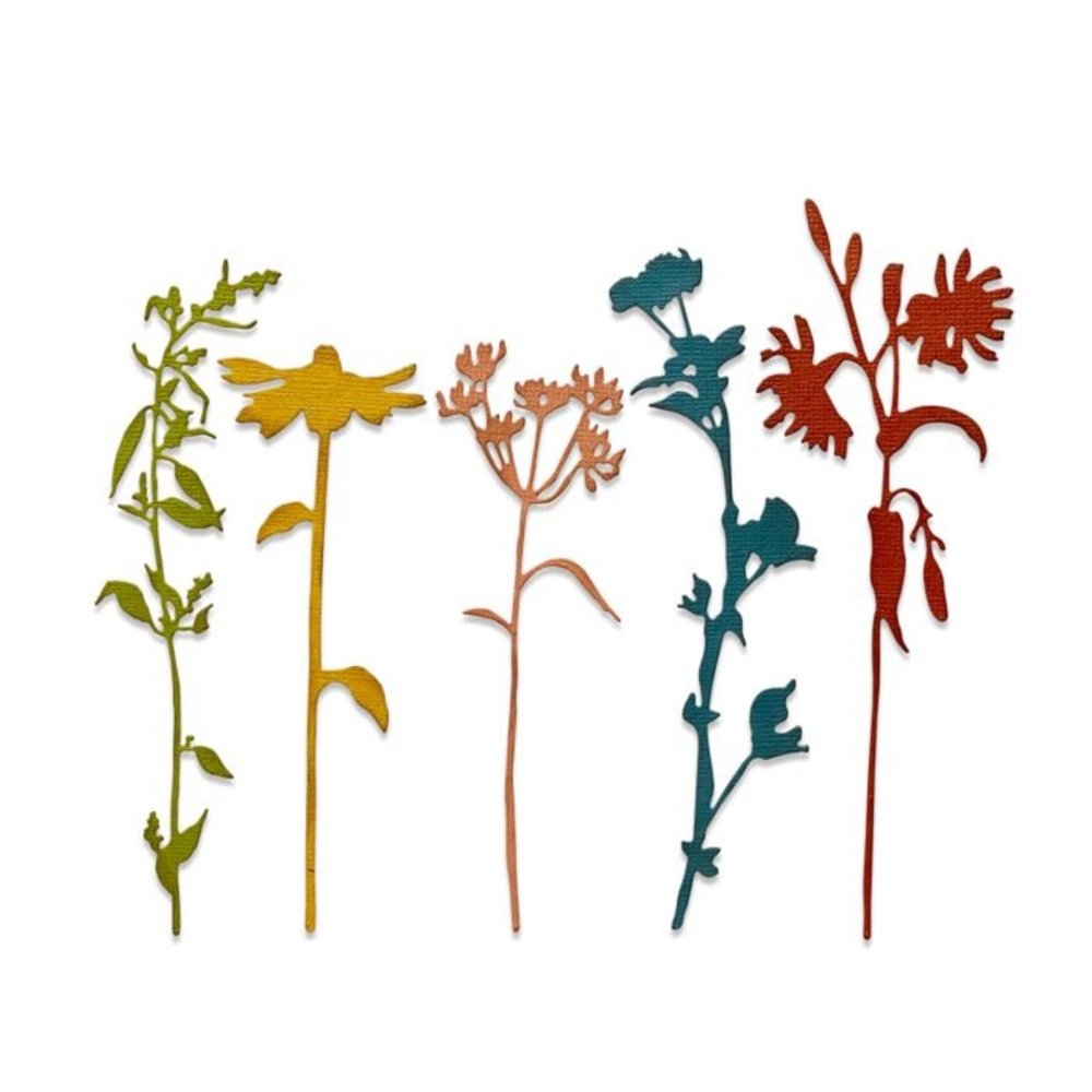 Sizzix Thinlits Alterations Die Set 5PK Wildflower Stems #3 (665221) Sizzix Thinlits Alterations Die Set 5PK Wildflower Stems #3 (665221)