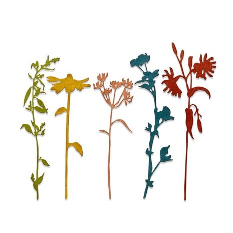 Sizzix Thinlits Alterations Die Set 5PK Wildflower Stems #3 (665221) Sizzix Thinlits Alterations Die Set 5PK Wildflower Stems #3 (665221)