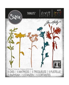 Sizzix Thinlits Alterations Die Set 5PK Wildflower Stems #3 (665221) Sizzix Thinlits Alterations Die Set 5PK Wildflower Stems #3 (665221)
