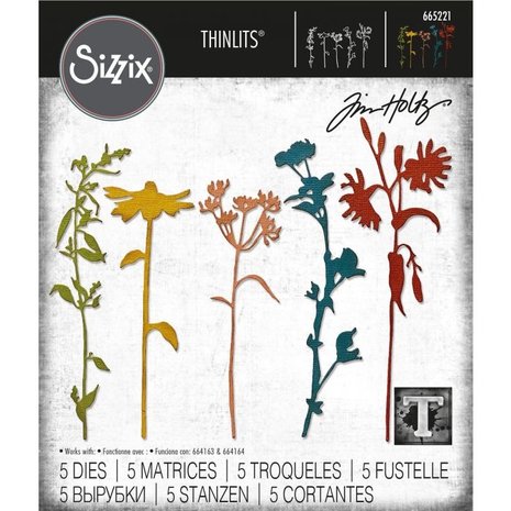 Sizzix Thinlits Alterations Die Set 5PK Wildflower Stems #3 (665221) Sizzix Thinlits Alterations Die Set 5PK Wildflower Stems #3 (665221)