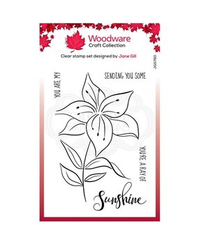Woodware Singles Lily Sketch Clear Stamp (JGS760) Woodware Singles Lily Sketch Clear Stamp (JGS760)