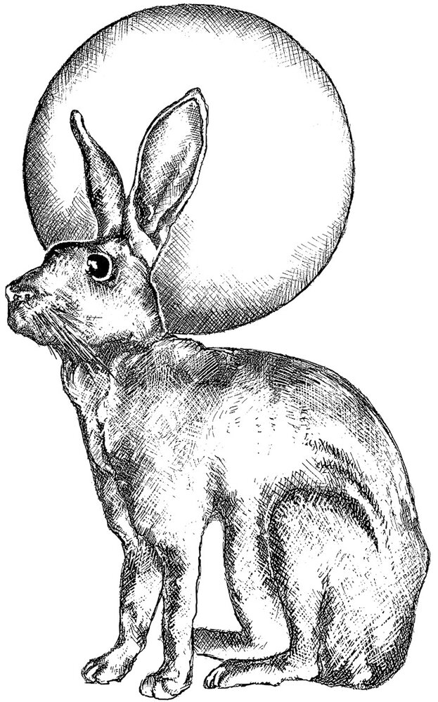 Crafty Individuals Hare and Moon Unmounted Rubber Stamp (CI-508) Crafty Individuals Hare and Moon Unmounted Rubber Stamp (CI-508)