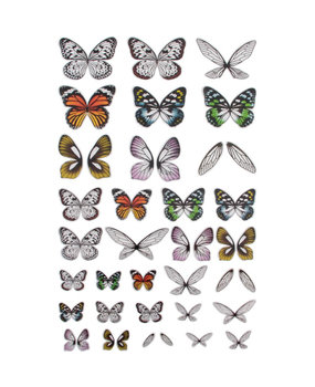 Idea-ology Tim Holtz Transparent Wings (72pcs) (TH93785) Idea-ology Tim Holtz Transparent Wings (72pcs) (TH93785)