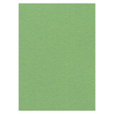 Card Deco Fotokarton Appelgroen 10 Vel A4 (CDEFK-A416)