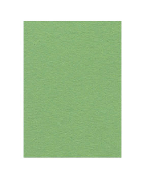 Card Deco Fotokarton Appelgroen 10 Vel A4 (CDEFK-A416)