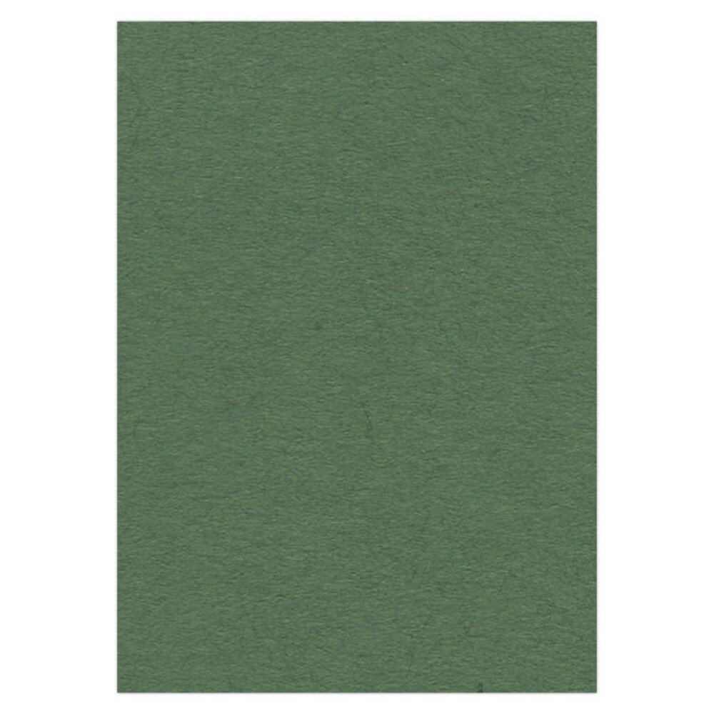 Card Deco Fotokarton Donkergroen 10 Vel A4 (CDEFK-A418) Card Deco Fotokarton Donkergroen 10 Vel A4 (CDEFK-A418)