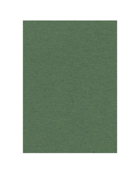 Card Deco Fotokarton Donkergroen 10 Vel A4 (CDEFK-A418) Card Deco Fotokarton Donkergroen 10 Vel A4 (CDEFK-A418)