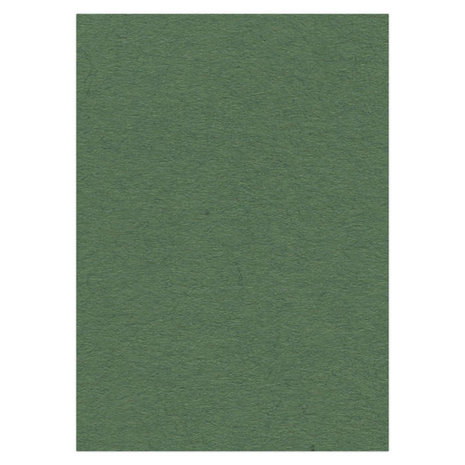 Card Deco Fotokarton Donkergroen 10 Vel A4 (CDEFK-A418) Card Deco Fotokarton Donkergroen 10 Vel A4 (CDEFK-A418)