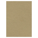 Card Deco Fotokarton Karamel 10 Vel A4 (CDEFK-A419)