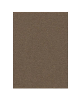 Card Deco Fotokarton Bruin 10 Vel A4 (CDEFK-A420)