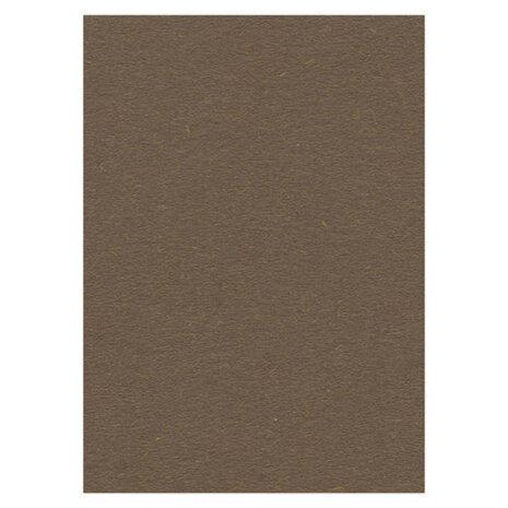 Card Deco Fotokarton Bruin 10 Vel A4 (CDEFK-A420)