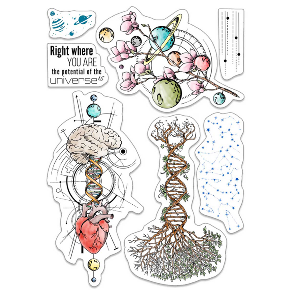 Ciao Bella Papercrafting Universe Is Heart And Mind A5 Clear Stamps (PS8011) Ciao Bella Papercrafting Universe Is Heart And Mind A5 Clear Stamps (PS8011)