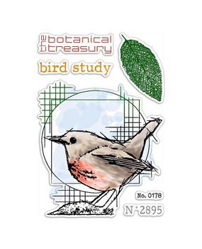 Ciao Bella Papercrafting Bird Study A6 Clear Stamps (PS6056) Ciao Bella Papercrafting Bird Study A6 Clear Stamps (PS6056)