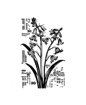 Crafty Individuals Counting Bluebells Unmounted Rubber Stamps (CI-572)