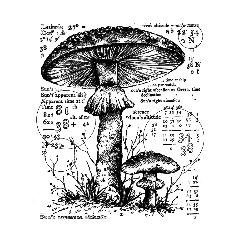 Crafty Individuals Counting Toadstools Unmounted Rubber Stamps (CI-574) Crafty Individuals Counting Toadstools Unmounted Rubber Stamps (CI-574)