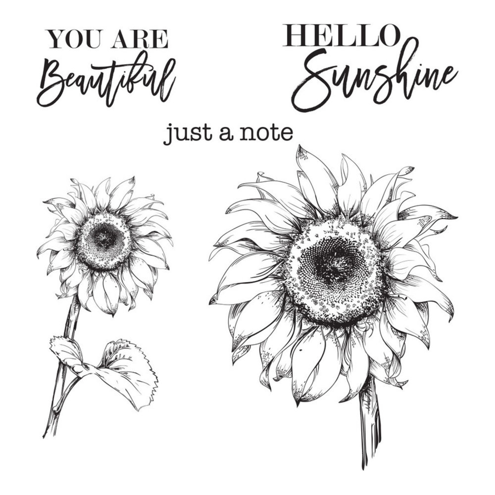 Spellbinders Hello Sunflower Clear Stamp (STP-017)