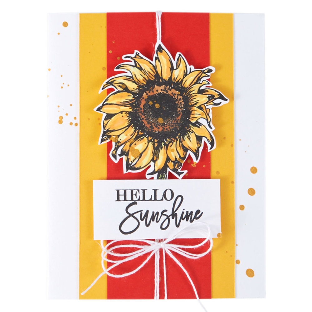 Spellbinders Hello Sunflower Clear Stamp (STP-017)