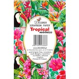 Decorer Tropical Madness Paper Pack (7x10,8cm) (M92)
