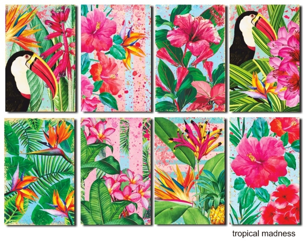 Decorer Tropical Madness Paper Pack (7x10,8cm) (M92) Decorer Tropical Madness Paper Pack (7x10,8cm) (M92)