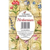 Decorer Herbarium Paper Pack (7x10,8cm) (M94)