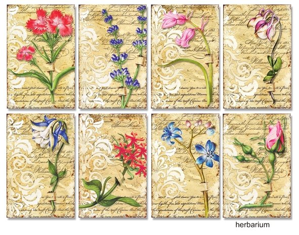 Decorer Herbarium Paper Pack (7x10,8cm) (M94) Decorer Herbarium Paper Pack (7x10,8cm) (M94)