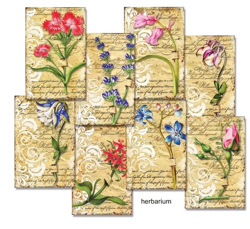 Decorer Herbarium Paper Pack (7x10,8cm) (M94) Decorer Herbarium Paper Pack (7x10,8cm) (M94)