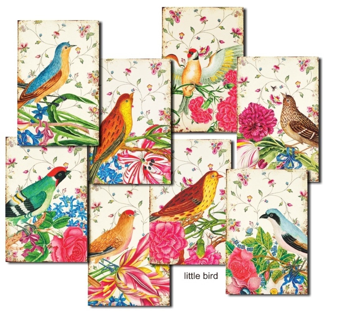 Decorer Little Bird Paper Pack (7x10,8cm) (M97) Decorer Little Bird Paper Pack (7x10,8cm) (M97)