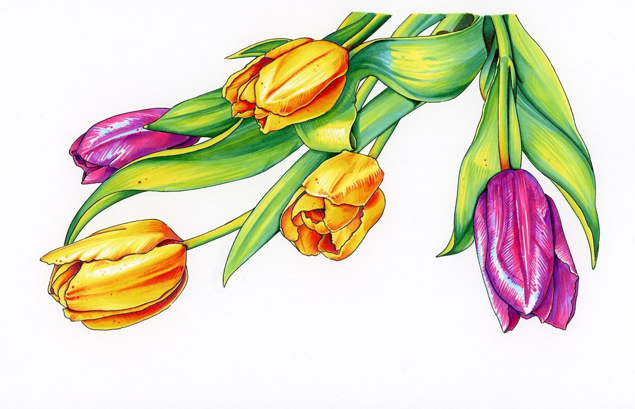 Spectrum Noir Discovery Kit Illustration (SPECN-DISC-ILL) Spectrum Noir Discovery Kit Illustration (SPECN-DISC-ILL)