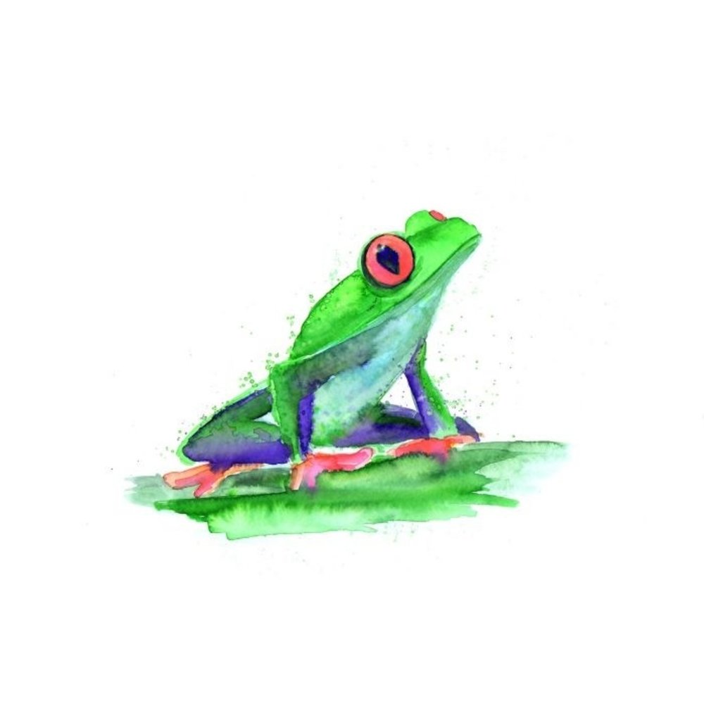 Spectrum Noir Discovery Kit Watercolour (SPECN-DISC-WAT)