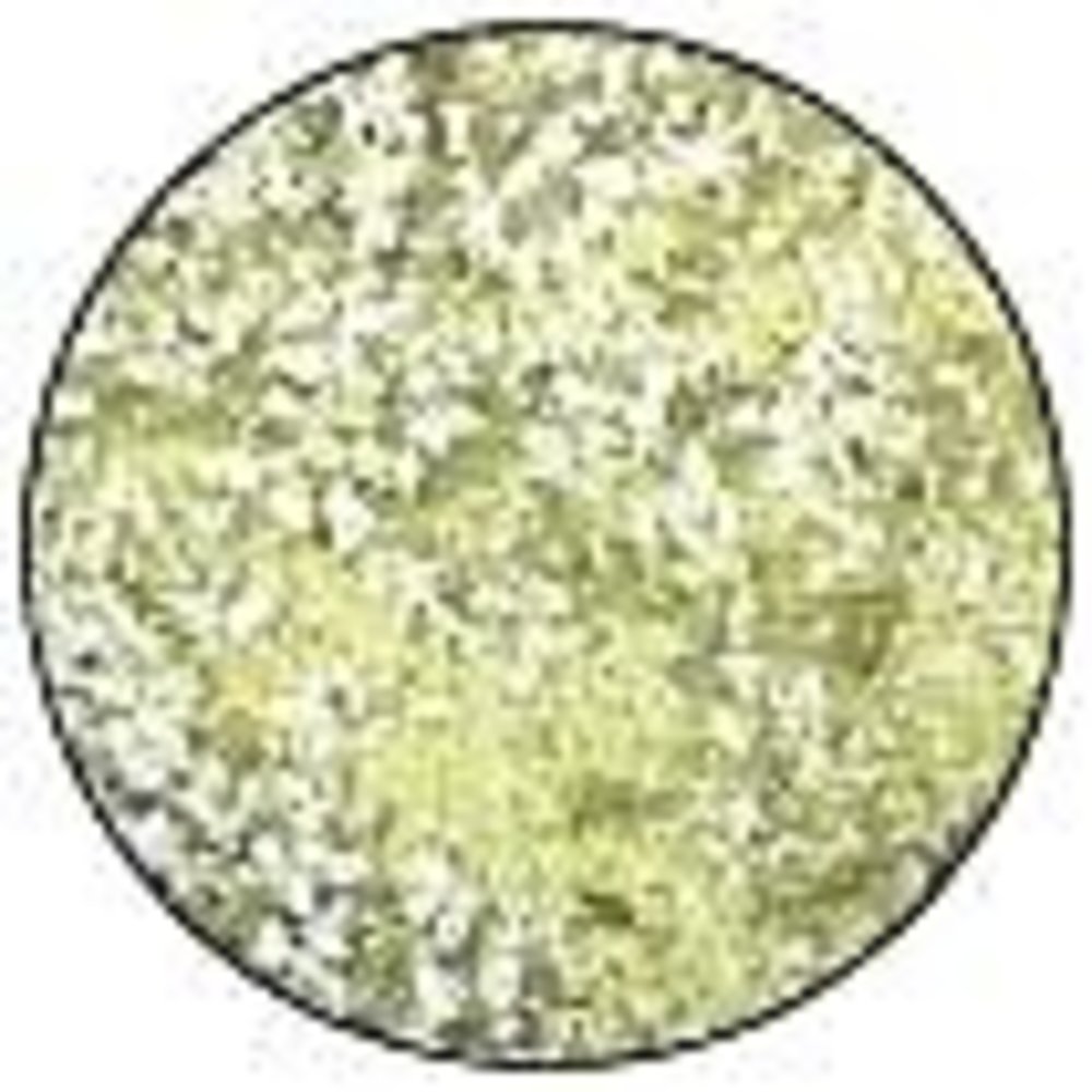 Ranger Embossing Speckle Powder Lemon Drop (EPJ68662) Ranger Embossing Speckle Powder Lemon Drop (EPJ68662)