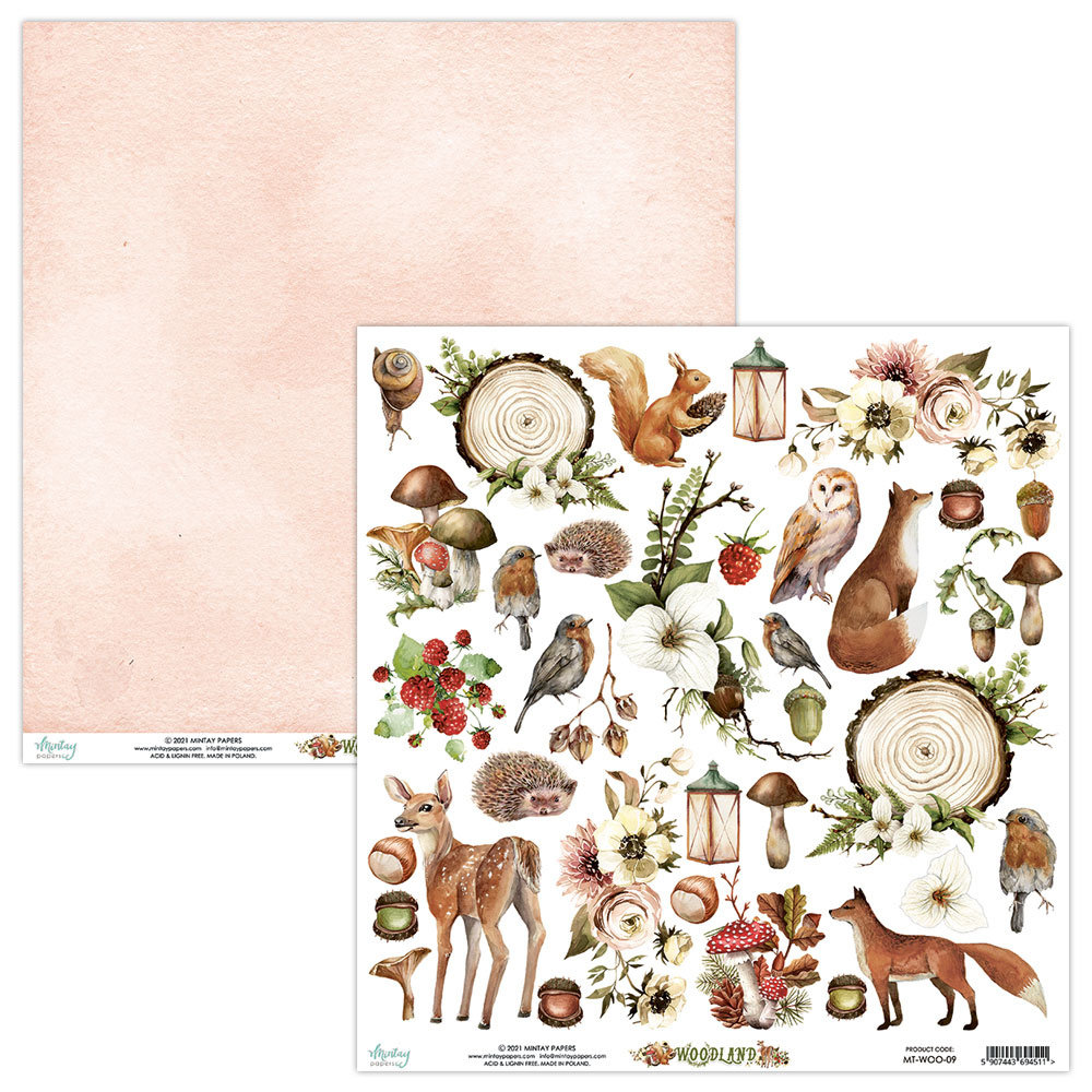 Mintay Woodland 12x12 Inch Scrapbooking Paper Set (MT-WOO-07)